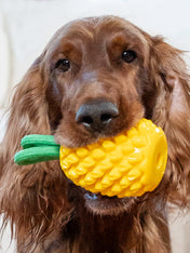hound-outward-jouet-distributeur-friandises-pour-chien-ananas