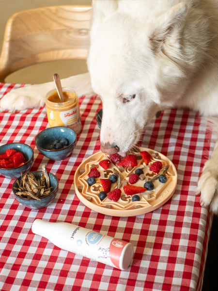 Tapis de léchage pour chien et chat - YoomY Pizza - inooko