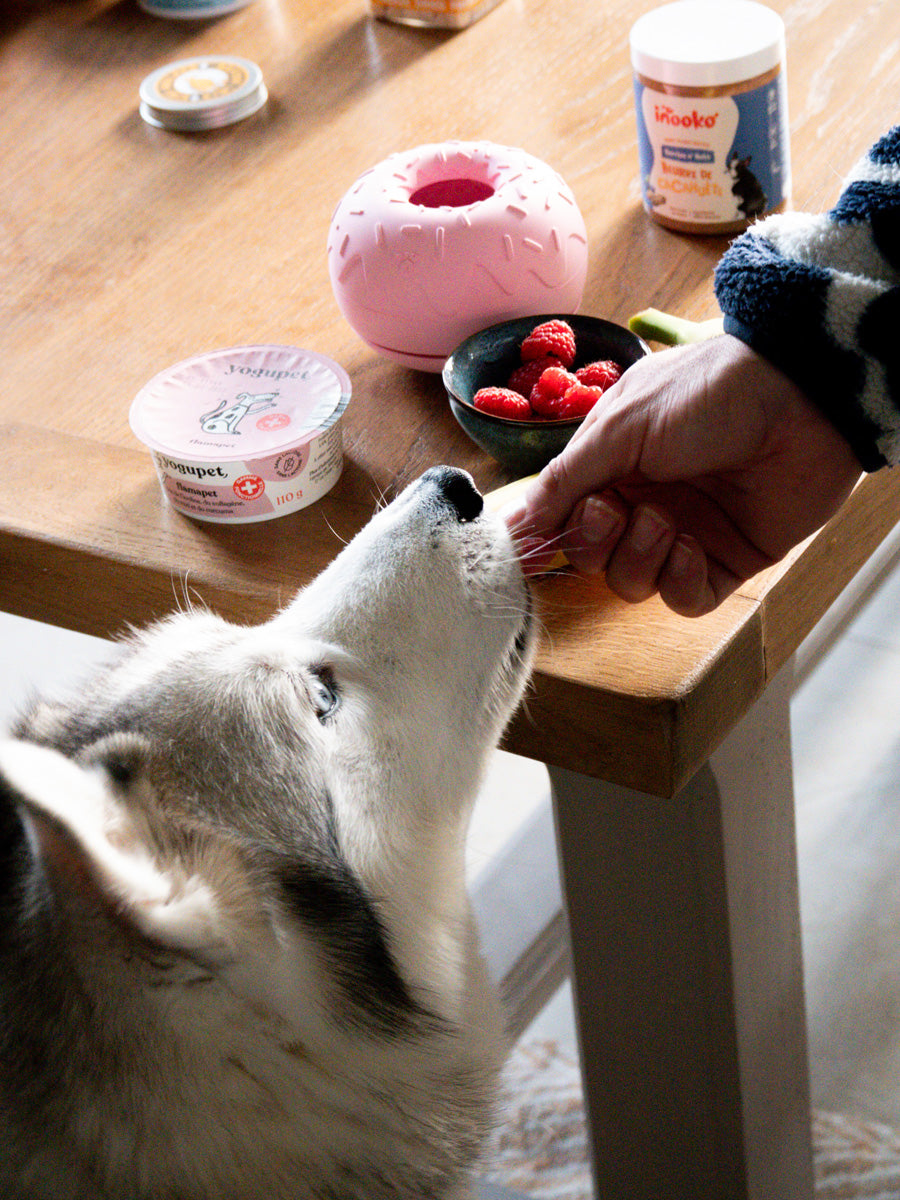 inooko-jouet-occupation-pour-chien-Yoomy-donut