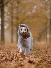 loblola-jouet-occupation-fouille-pour-chien-pomme-de-pain