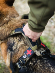 non-stop-dogwear-harnais-chien-Line-harnessgrip-working-dog