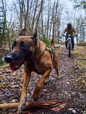 non-stop-dogwear-harnais-chien-freemotion-harness-grip-working-dog