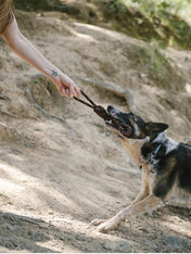 pet-play-jouet-en-corde-chien-Tug-rope