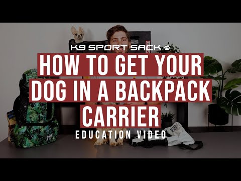 Sac à dos pour transporter son chien - AIR 2 Noir - K9 Sport Sack