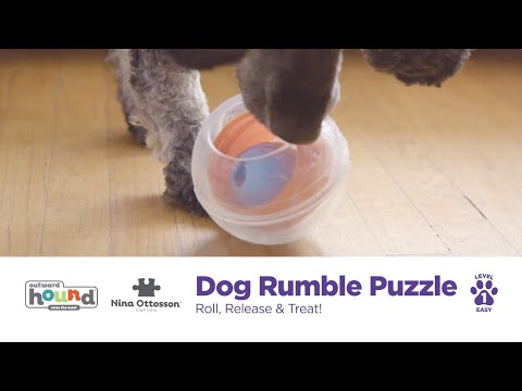 Jouet interactif pour chien - Dog Rumble Puzzle - Niveau 1