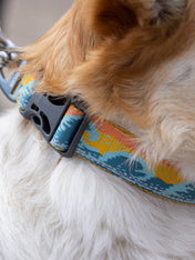 ruffwear-collier-pour-chien-Crag-Hands-Free-Leash-RisingWave