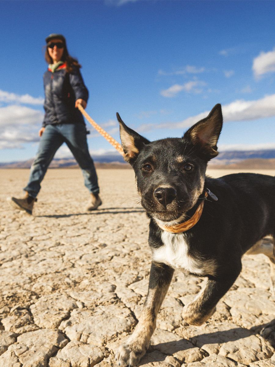 ruffwear-laisse-main-libre-pour-chien-Crag-Hands-Free-Leash-Desert-Spice