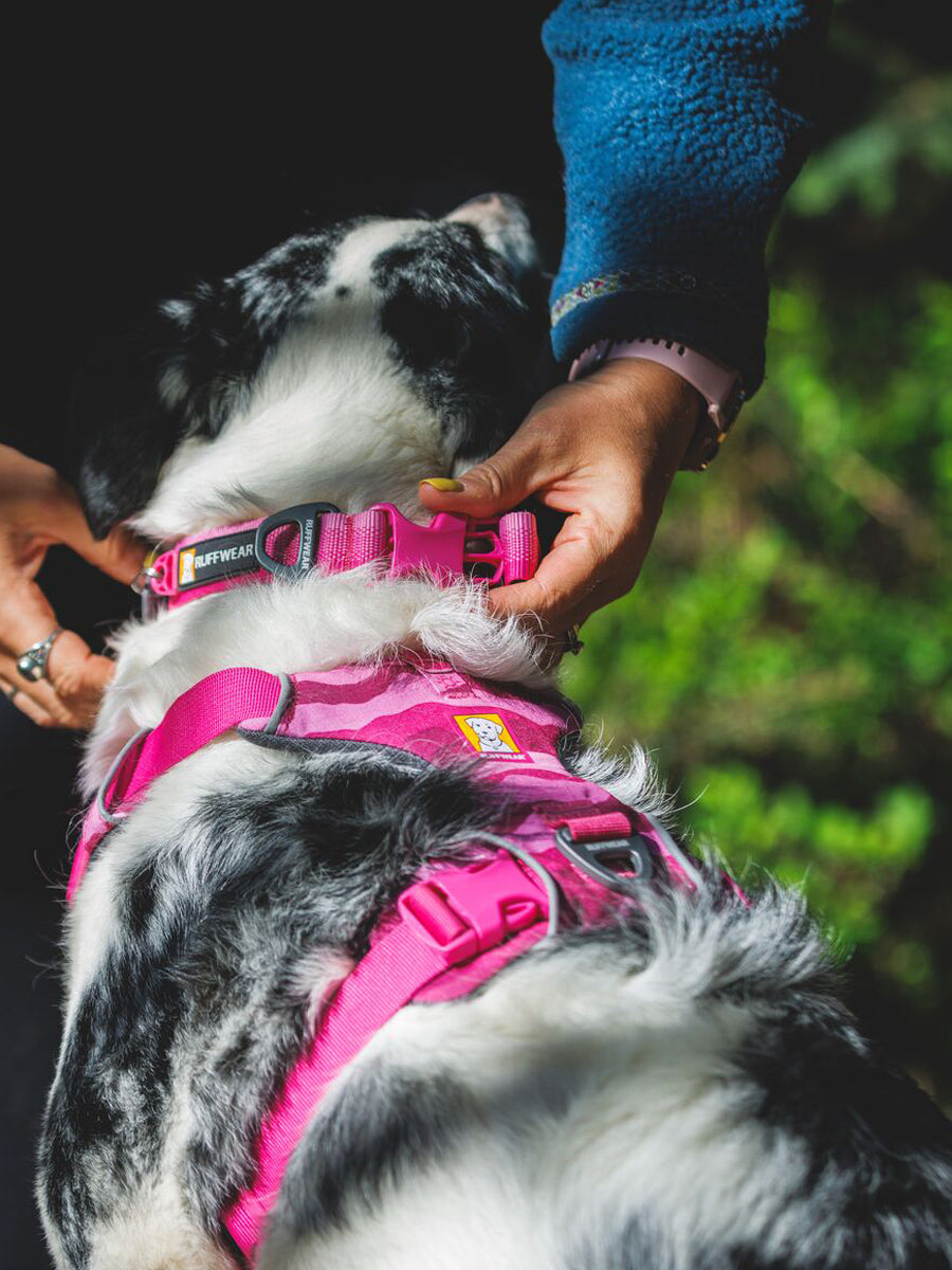 ruffwear-collier-pour-chien-Front-Range-rose-Pink-mountain