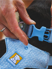 ruffwear-harnais-front-range-flex-pour-chien-BLEU