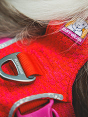 ruffwear-harnais-front-range-flex-pour-chien-rouge