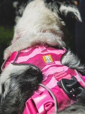 ruffwear-harnais-pour-chien-Front-Range-rose-Pink-mountain