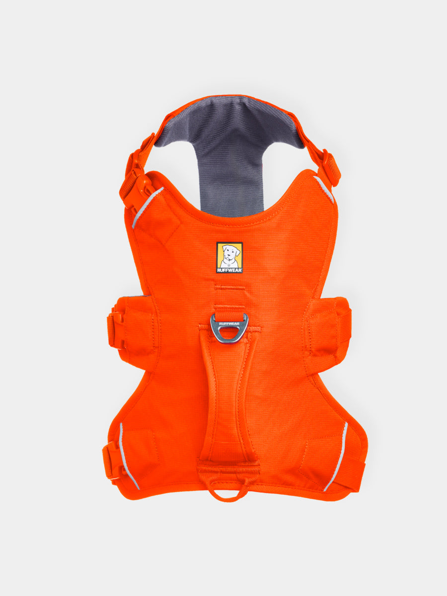 ruffwear-harnais-web-master-pour-chien-orange