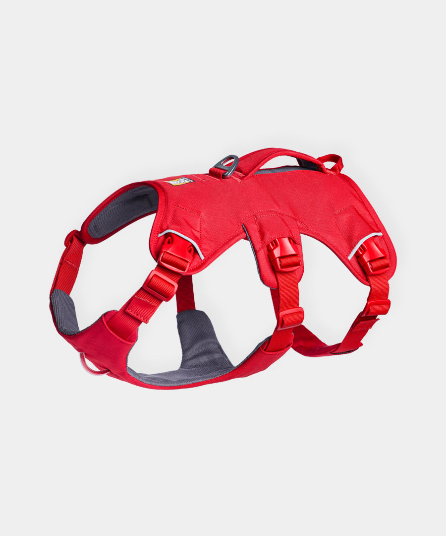 ruffwear-harnais-web-master-pour-chien-rouge