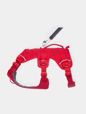 ruffwear-harnais-web-master-pour-chien-rouge