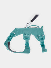 ruffwear-harnais-web-master-pour-chien-vert