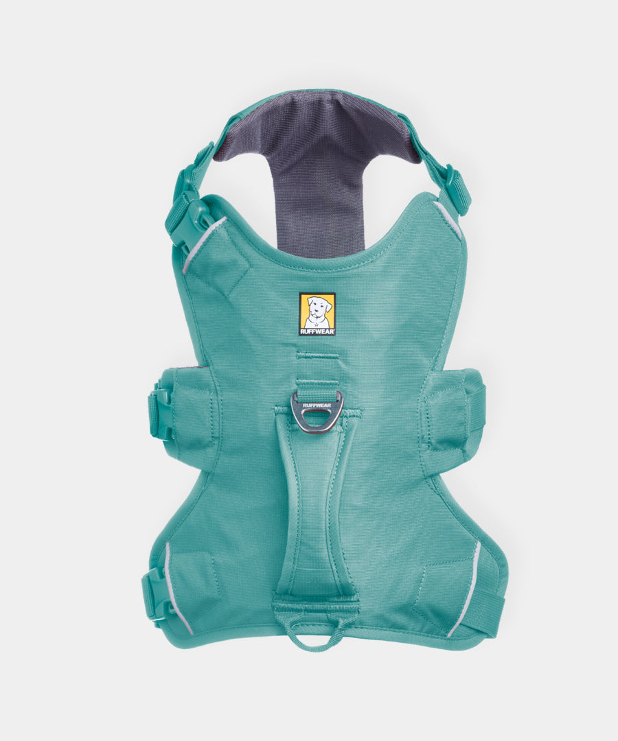 ruffwear-harnais-web-master-pour-chien-vert
