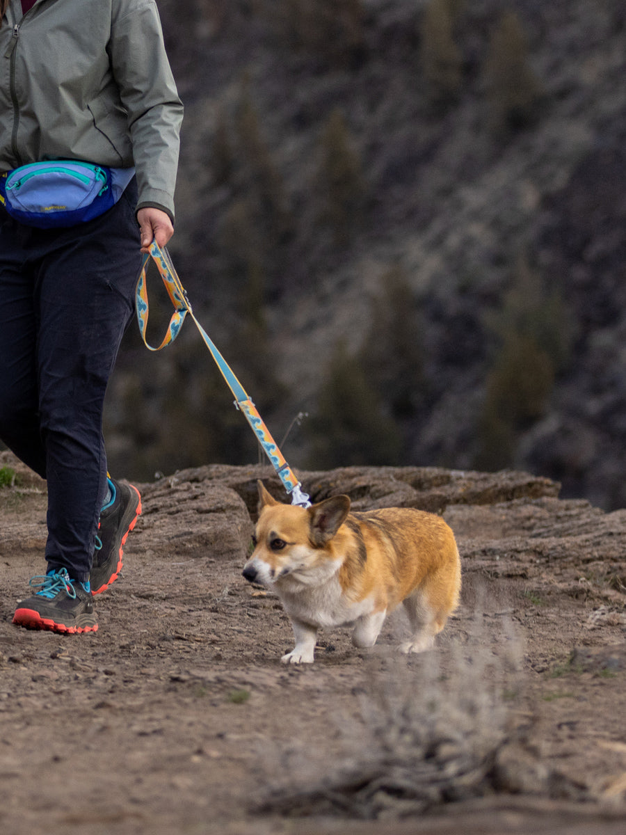 ruffwear-laisse-main-libre-pour-chien-Crag-Hands-Free-Leash-RisingWave