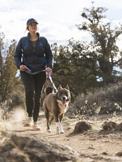 ruffwear-laisse-main-libre-pour-chien-Crag-Hands-Free-Leash-alpine-dusk