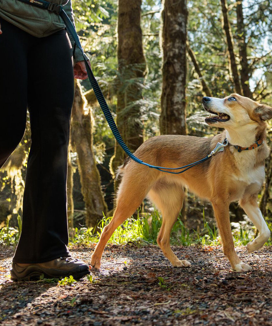 ruffwear-laisse-main-libre-pour-chien-roamer-bleu