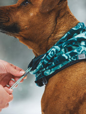 ruffwear-snood-pour-chien-tour-de-cou-Mt-Hoodie-Warming-Neck-Gaiter_Basalt-teal