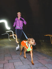 ruffwear-veste-visibilite-pour-chien-Lumenglow-High-Vis-Jacket