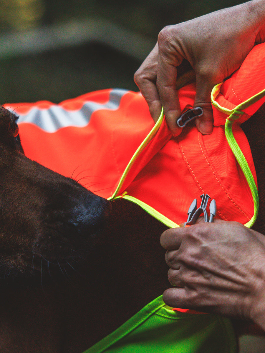 ruffwear-veste-visibilite-pour-chien-Lumenglow-High-Vis-Jacket
