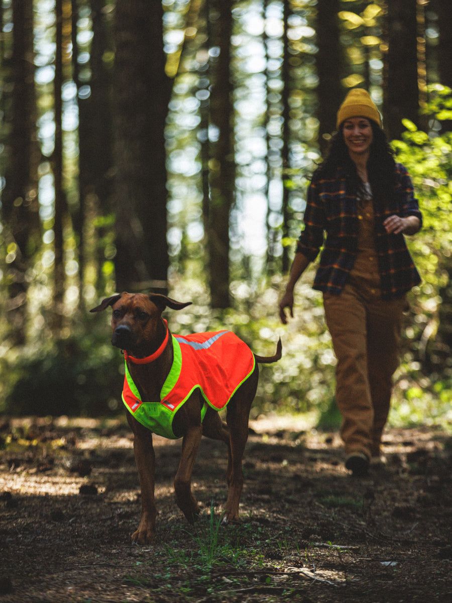 ruffwear-veste-visibilite-pour-chien-Lumenglow-High-Vis-Jacket