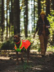 ruffwear-veste-visibilite-pour-chien-Lumenglow-High-Vis-Jacket