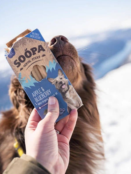   soopa-friandise-naturelles-chien-dog-treat-pomme-myrtille