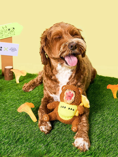 the-furry-folks-jouet-de-fouille-puzzle-interactif-pour-chien-ours-Tofino
