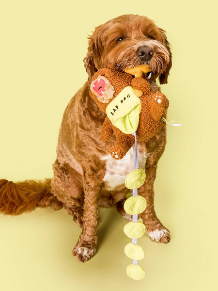 the-furry-folks-jouet-de-fouille-puzzle-interactif-pour-chien-ours-Tofino