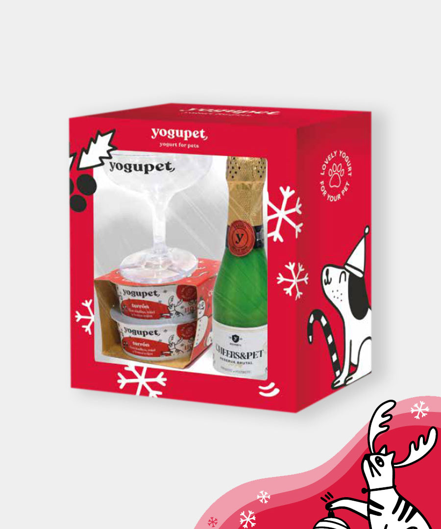 yogupet-box-de-noel-pour-chien-2025-box