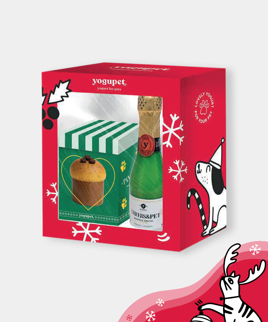 yogupet-box-de-noel-pour-chien-2025-box-noel-pour-chien