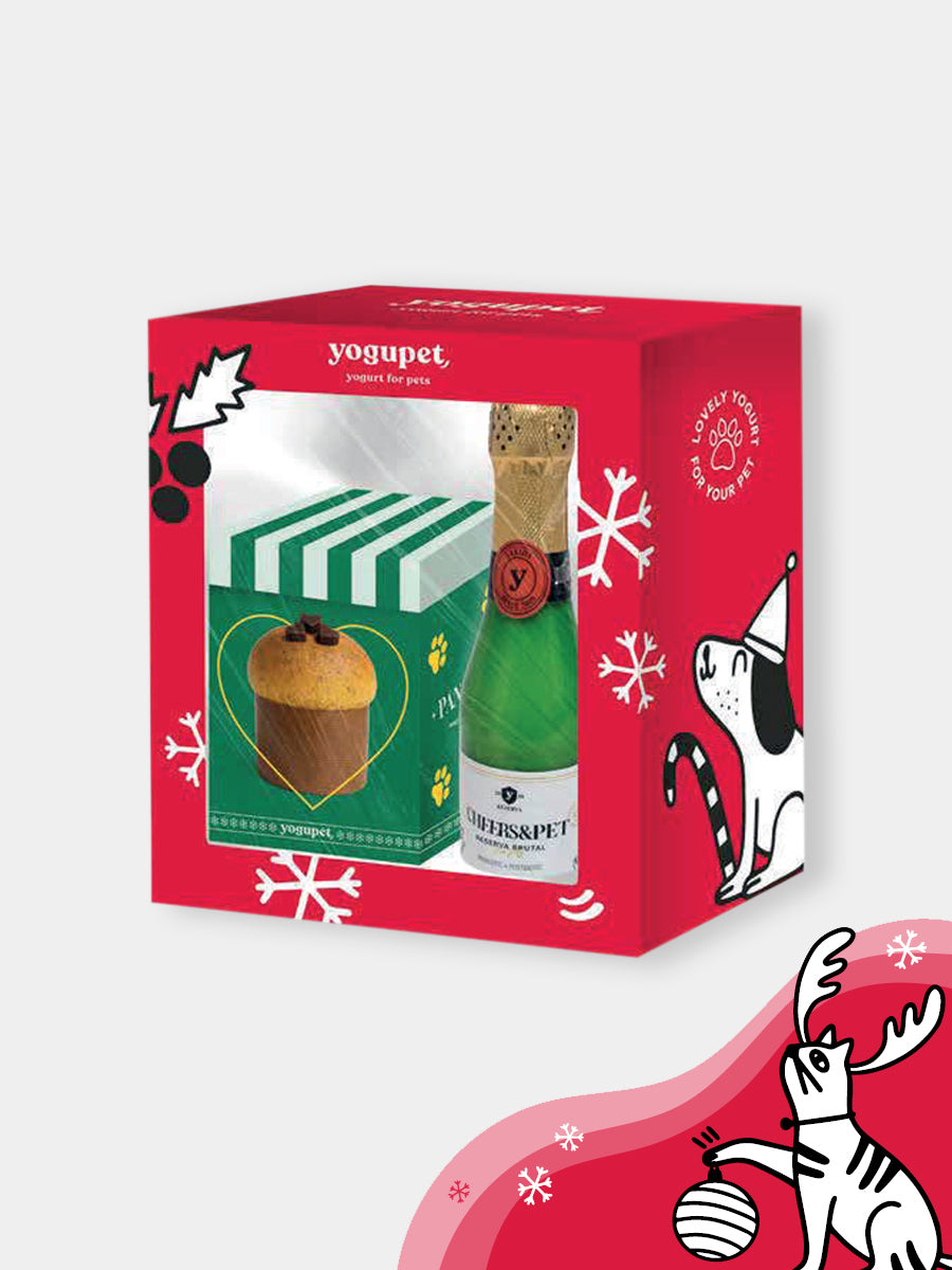 yogupet-box-de-noel-pour-chien-2025-box-noel-pour-chien