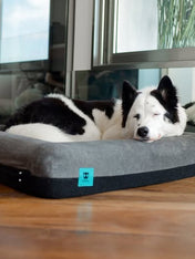 zee-dog-Panier-pour-chien-Zee.Bed-Skull