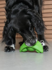 zee-dog-jouet-distributeur-friandises-interactif-Super-Veggiez-petit-pois