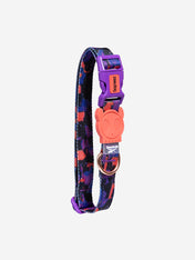 zee-dog-x-reebok-court-collier-pour-chien