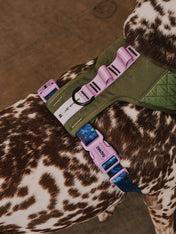 zee-dog-x-reebok-trekk-harnais-pour-chien
