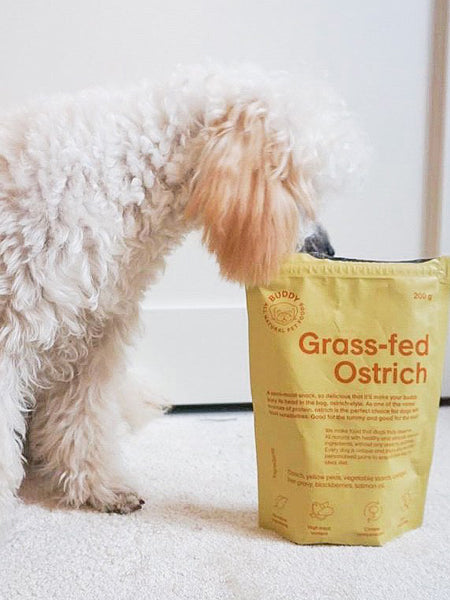 Buddy-petfoods-friandises-naturelles-chien-autruche
