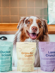 Buddy-petfoods-friandises-naturelles-chien-autruche