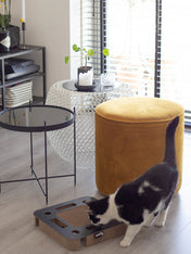 District70-griffoir-pour-chat-design