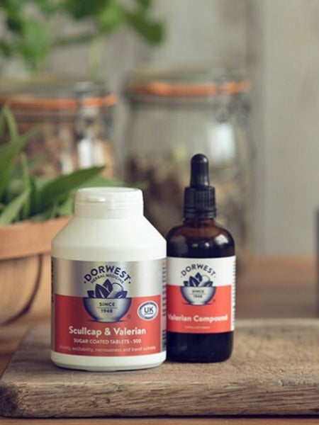 Dorwest-Scullcap-Valériane-chien-chat-anti-stress