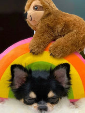     Fringe-petshop-peluche-design-chien-289370-sloth-on-a-rainbow