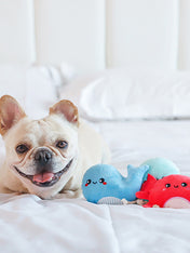        HugSmart-lot-3-peluche-interactive-pour-chien-chiot-Sea-Creatures