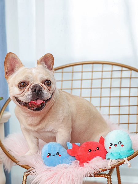        HugSmart-lot-3-peluche-interactive-pour-chien-chiot-Sea-Creatures