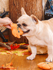 HugSmart-peluche-interactive-pour-chien-chiot-feuille-automne