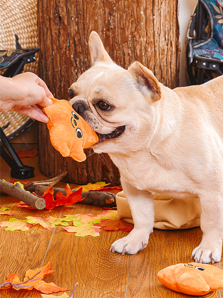 HugSmart-peluche-interactive-pour-chien-chiot-feuille-automne