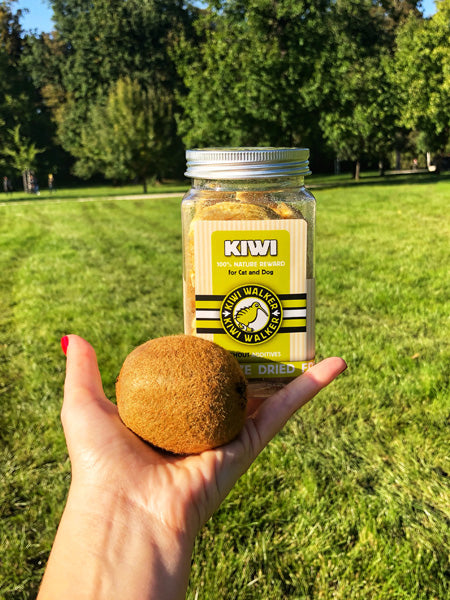 Kiwi-walker-friandises-naturelles-chien-chat-kiwi