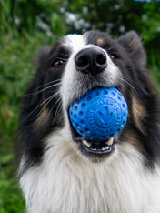 Kiwi-walker-balle-TPR-pour-chien-chiot-bleu