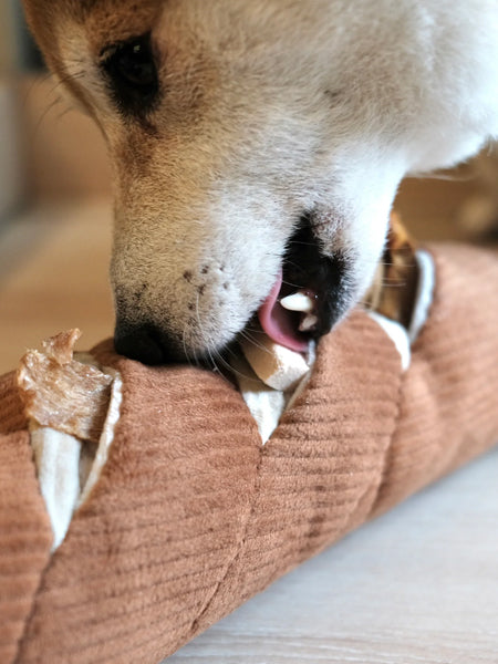       Lambwolf-Collective-jouet-design-minimalist-pour-chien-Baguette
